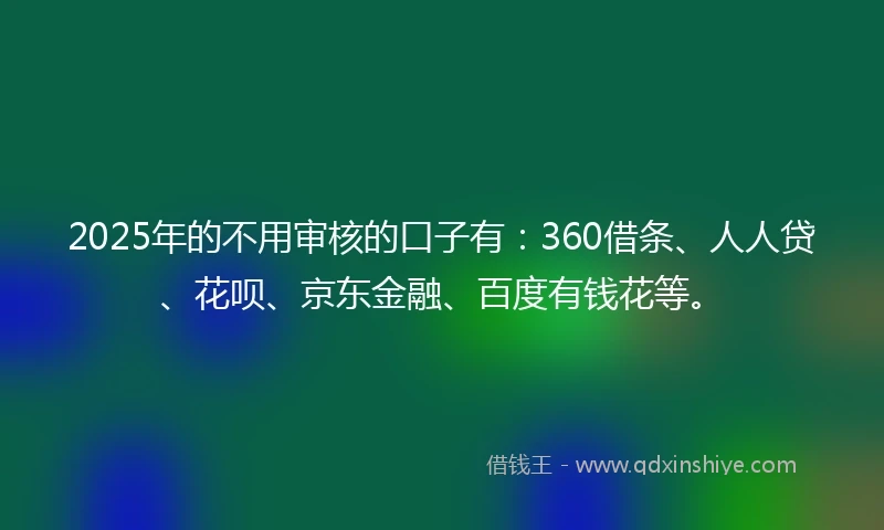2025年的不用审核的口子有：360借条、人人贷、花呗、京东金融、百度有钱花等。