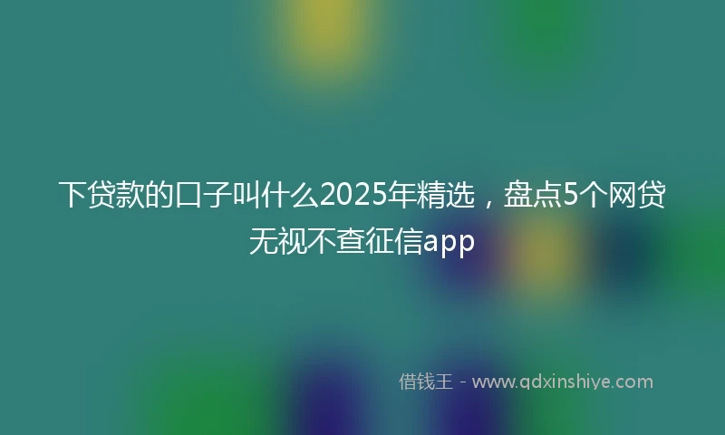 下贷款的口子叫什么2025年精选，盘点5个网贷无视不查征信app