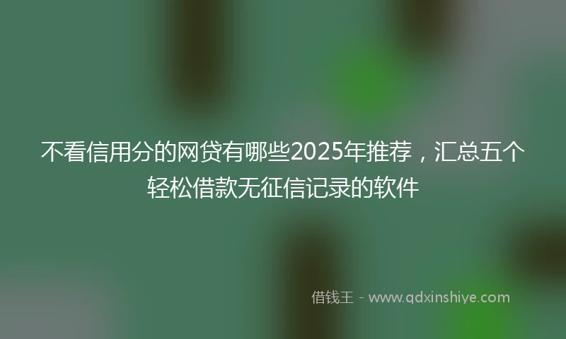 不看信用分的网贷有哪些2025年推荐，汇总五个轻松借款无征信记录的软件