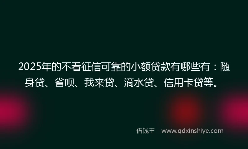 2025年的不看征信可靠的小额贷款有哪些有：随身贷、省呗、我来贷、滴水贷、信用卡贷等。