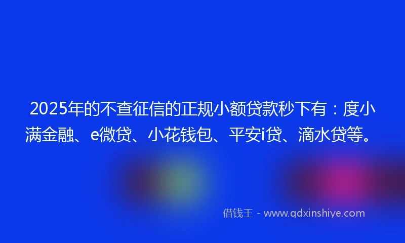 2025年的不查征信的正规小额贷款秒下有：度小满金融、e微贷、小花钱包、平安i贷、滴水贷等。