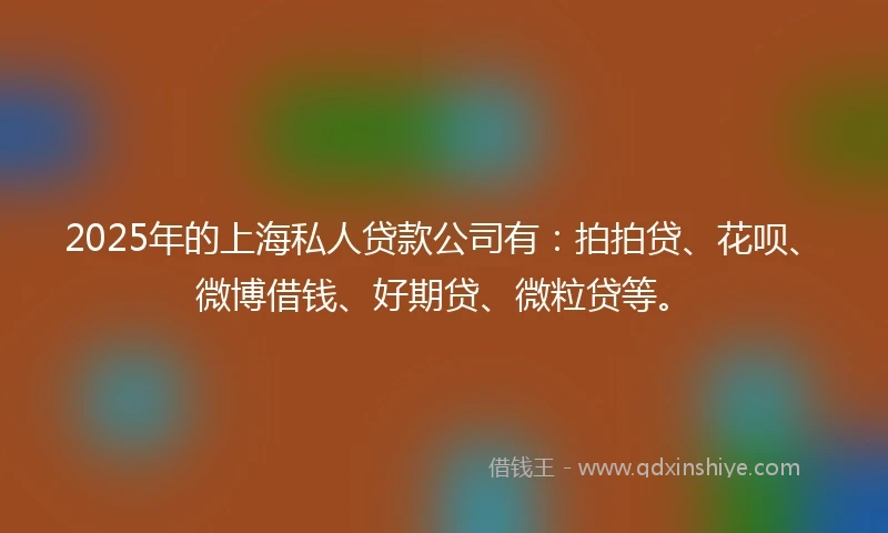 2025年的上海私人贷款公司有：拍拍贷、花呗、微博借钱、好期贷、微粒贷等。