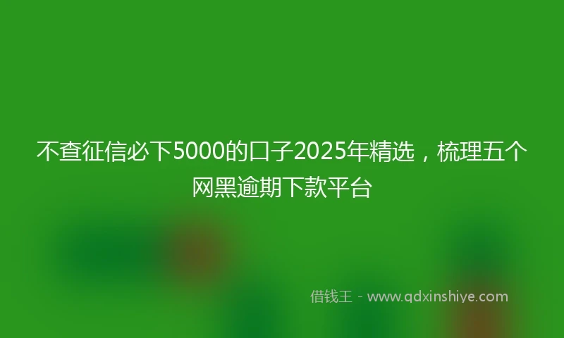 不查征信必下5000的口子2025年精选,梳理五个网黑逾期下款平台