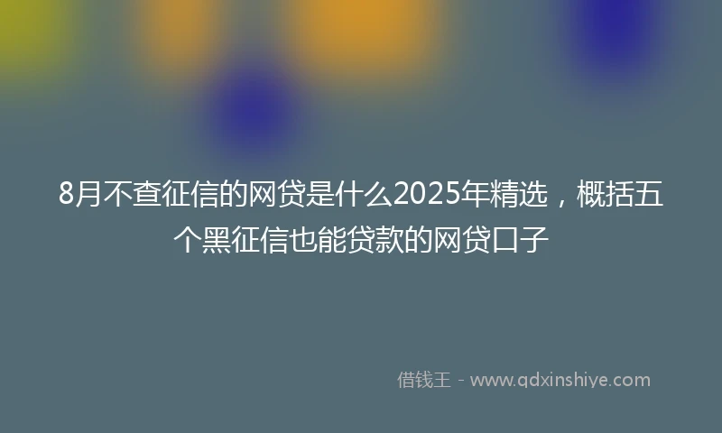 8月不查征信的网贷是什么2025年精选，概括五个黑征信也能贷款的网贷口子