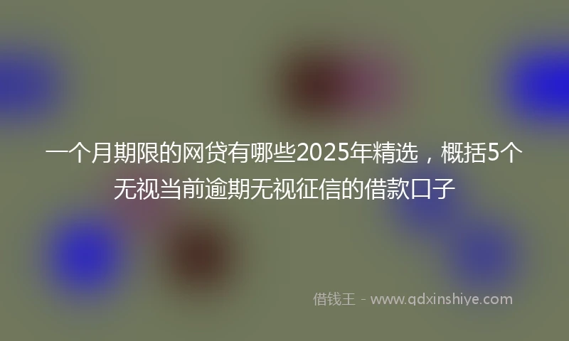 一个月期限的网贷有哪些2025年精选，概括5个无视当前逾期无视征信的借款口子