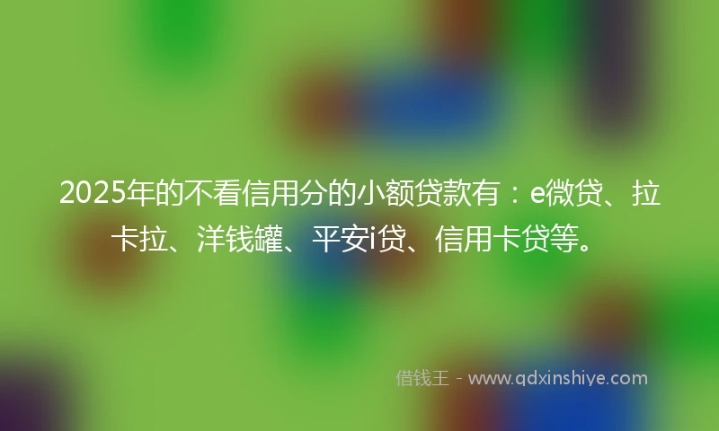 2025年的不看信用分的小额贷款有：e微贷、拉卡拉、洋钱罐、平安i贷、信用卡贷等。