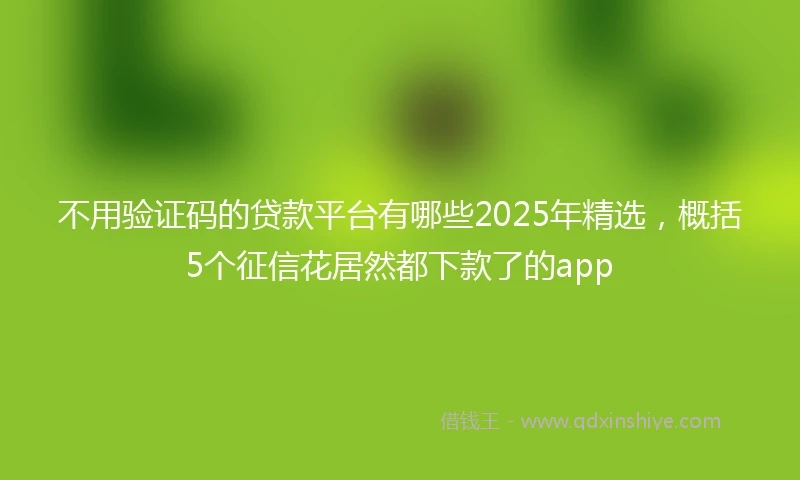 不用验证码的贷款平台有哪些2025年精选，概括5个征信花居然都下款了的app