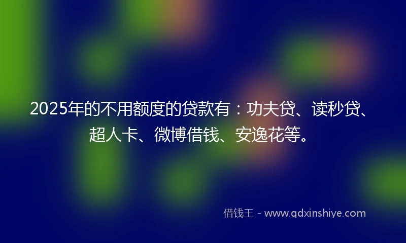 2025年的不用额度的贷款有：功夫贷、读秒贷、超人卡、微博借钱、安逸花等。
