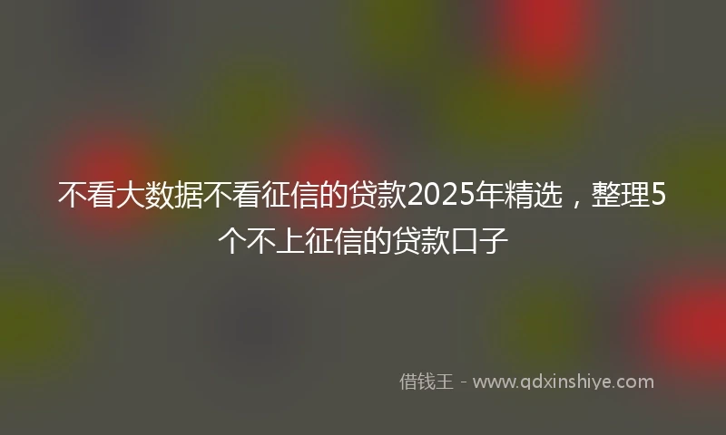 不看大数据不看征信的贷款2025年精选，整理5个不上征信的贷款口子