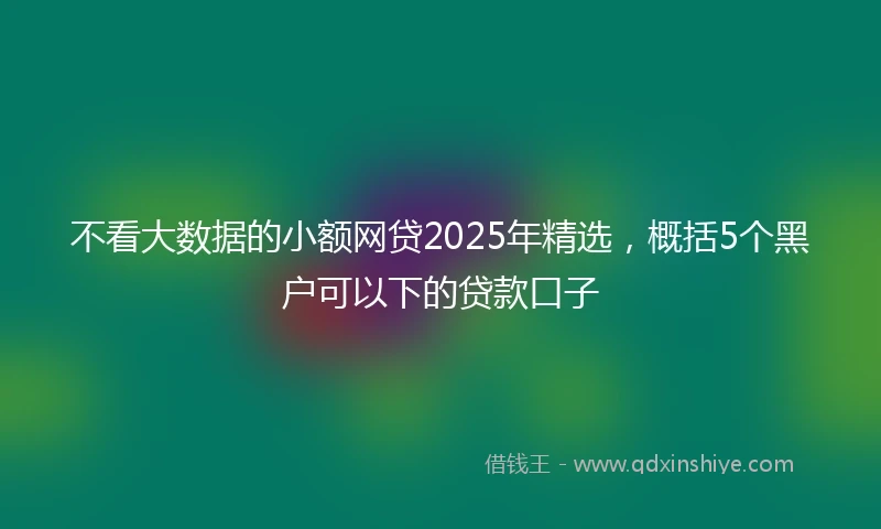 不看大数据的小额网贷2025年精选，概括5个黑户可以下的贷款口子
