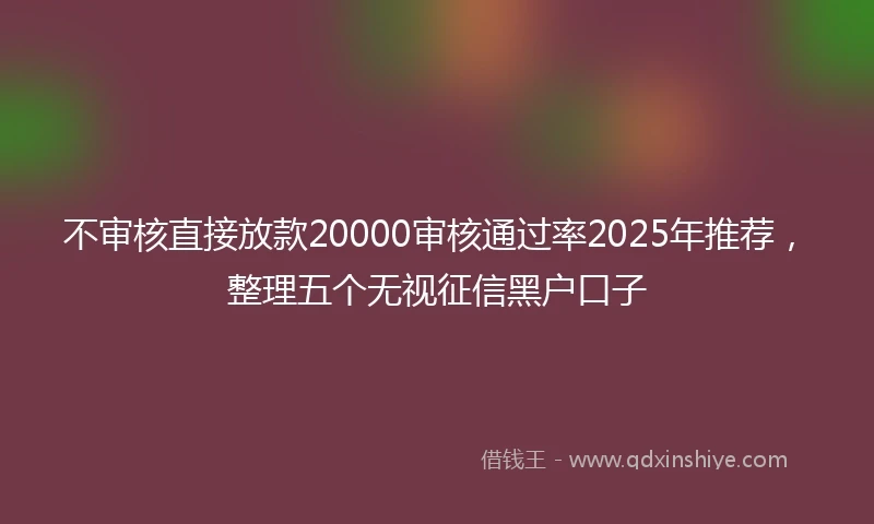 不审核直接放款20000审核通过率2025年推荐，整理五个无视征信黑户口子