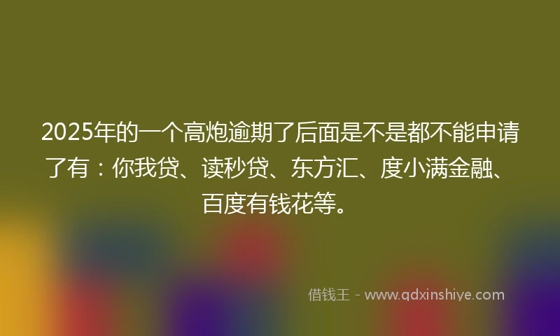 2025年的一个高炮逾期了后面是不是都不能申请了有：你我贷、读秒贷、东方汇、度小满金融、百度有钱花等。