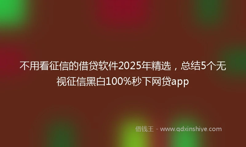 不用看征信的借贷软件2025年精选，总结5个无视征信黑白100%秒下网贷app