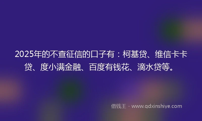 2025年的不查征信的口子有：柯基贷、维信卡卡贷、度小满金融、百度有钱花、滴水贷等。