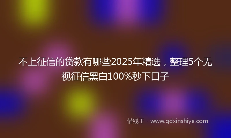 不上征信的贷款有哪些2025年精选，整理5个无视征信黑白100%秒下口子