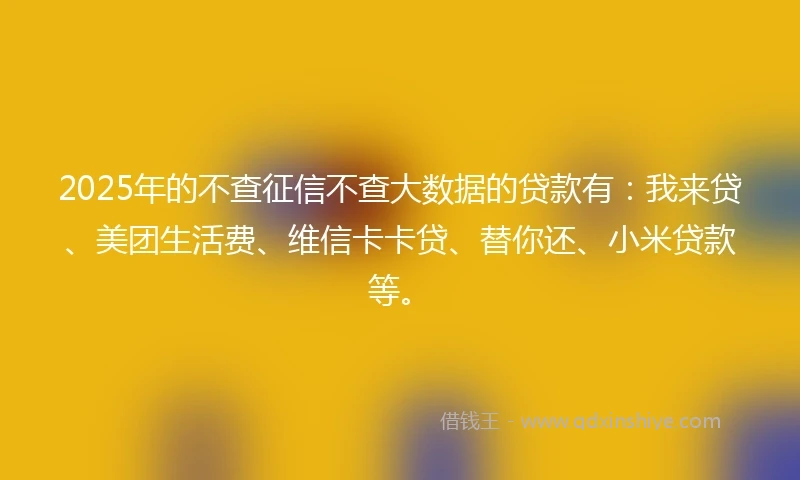 2025年的不查征信不查大数据的贷款有：我来贷、美团生活费、维信卡卡贷、替你还、小米贷款等。