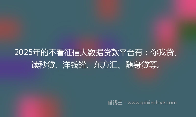 2025年的不看征信大数据贷款平台有：你我贷、读秒贷、洋钱罐、东方汇、随身贷等。
