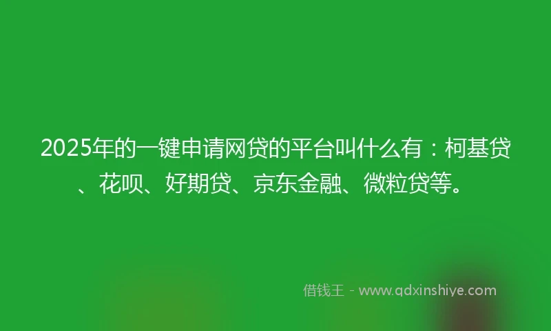2025年的一键申请网贷的平台叫什么有：柯基贷、花呗、好期贷、京东金融、微粒贷等。