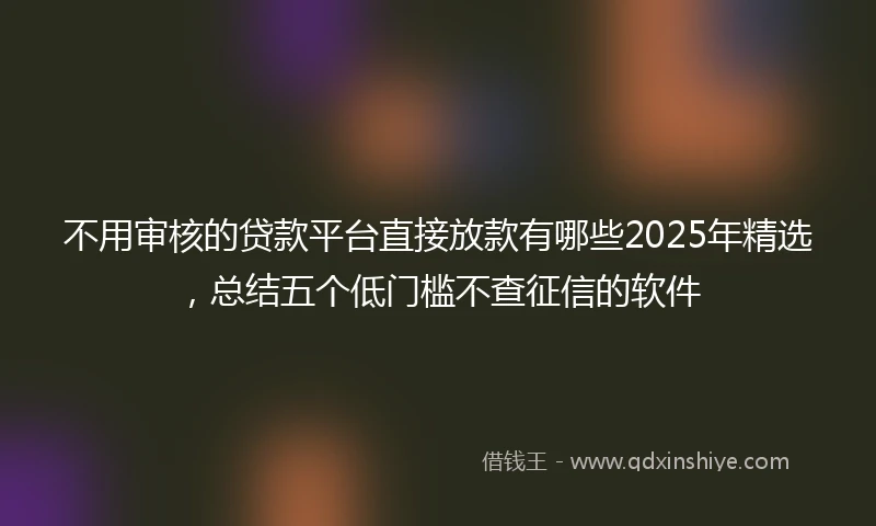 不用审核的贷款平台直接放款有哪些2025年精选，总结五个低门槛不查征信的软件