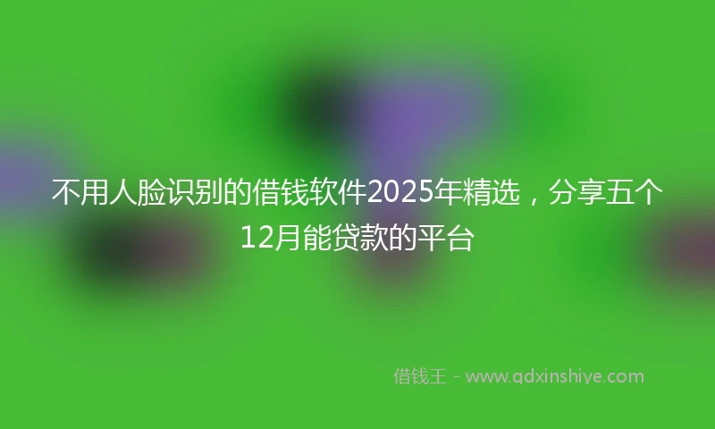 不用人脸识别的借钱软件2025年精选，分享五个12月能贷款的平台