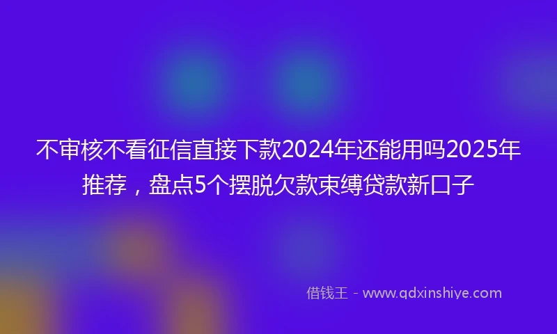 不审核不看征信直接下款2024年还能用吗2025年推荐，盘点5个摆脱欠款束缚贷款新口子