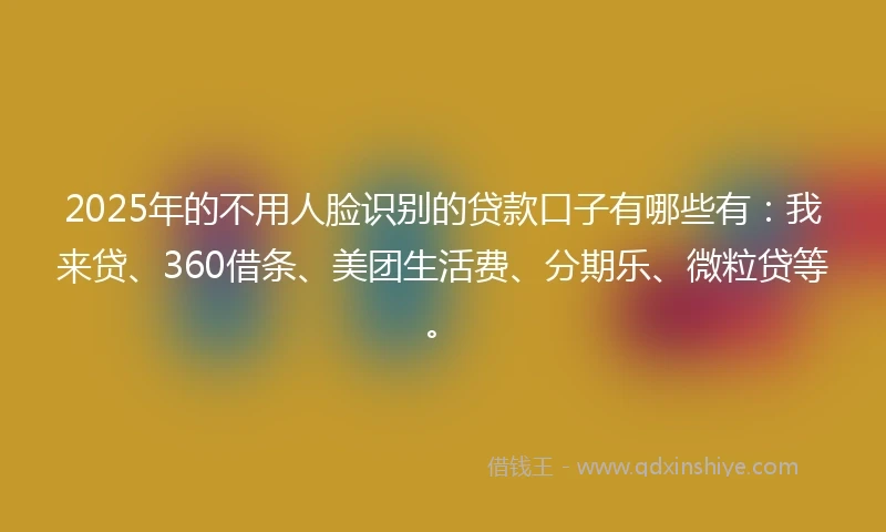 2025年的不用人脸识别的贷款口子有哪些有：我来贷、360借条、美团生活费、分期乐、微粒贷等。