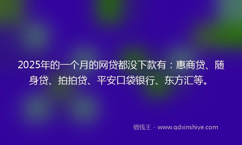 2025年的一个月的网贷都没下款有：惠商贷、随身贷、拍拍贷、平安口袋银行、东方汇等。