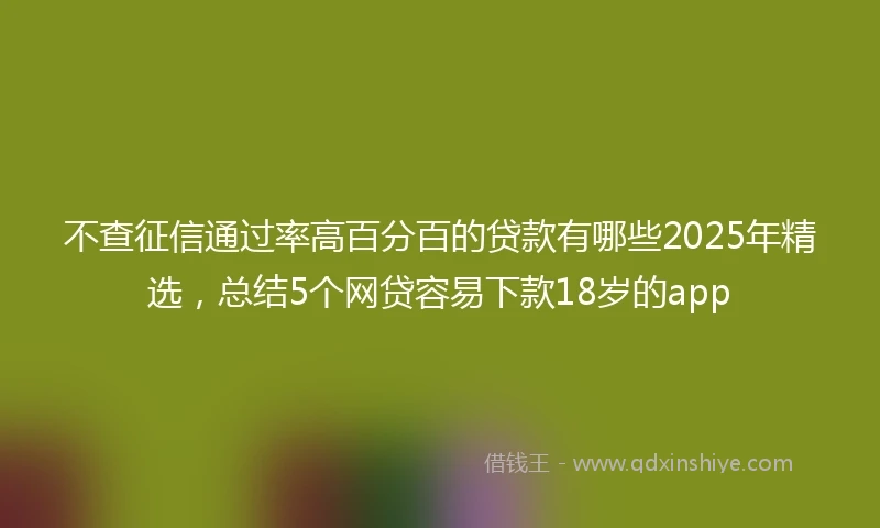 不查征信通过率高百分百的贷款有哪些2025年精选，总结5个网贷容易下款18岁的app
