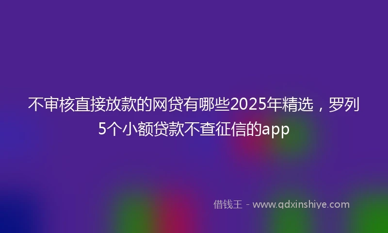不审核直接放款的网贷有哪些2025年精选，罗列5个小额贷款不查征信的app