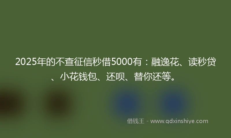2025年的不查征信秒借5000有：融逸花、读秒贷、小花钱包、还呗、替你还等。