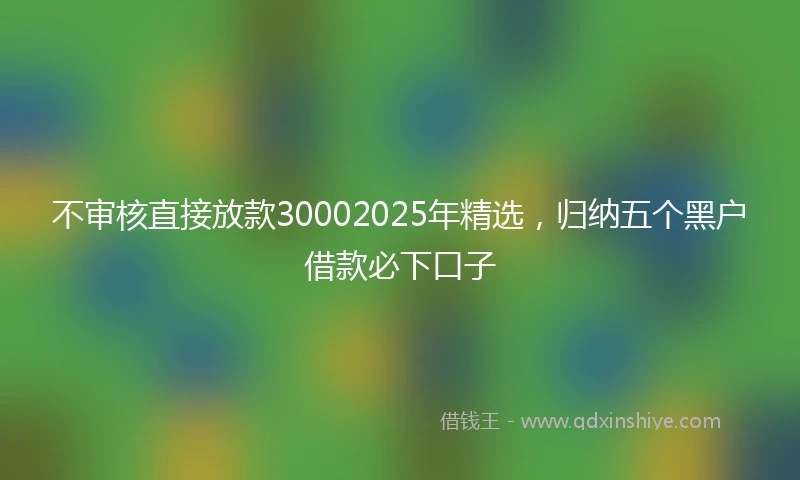 不审核直接放款30002025年精选，归纳五个黑户借款必下口子