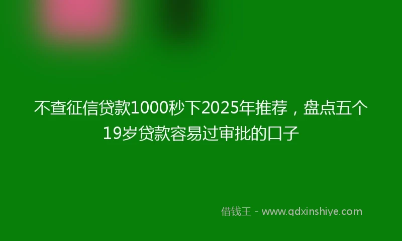 不查征信贷款1000秒下2025年推荐，盘点五个19岁贷款容易过审批的口子