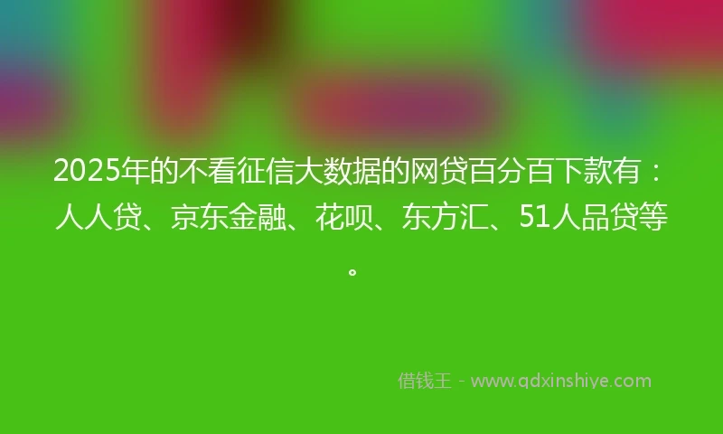 2025年的不看征信大数据的网贷百分百下款有：人人贷、京东金融、花呗、东方汇、51人品贷等。