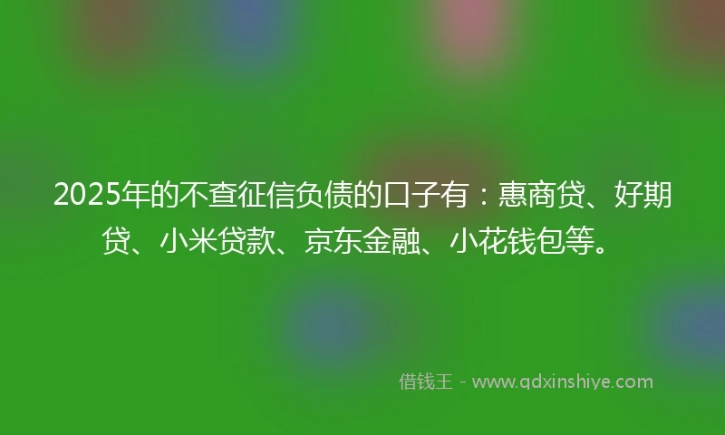 2025年的不查征信负债的口子有：惠商贷、好期贷、小米贷款、京东金融、小花钱包等。