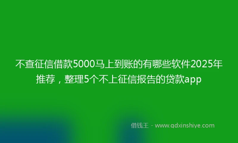 不查征信借款5000马上到账的有哪些软件2025年推荐，整理5个不上征信报告的贷款app
