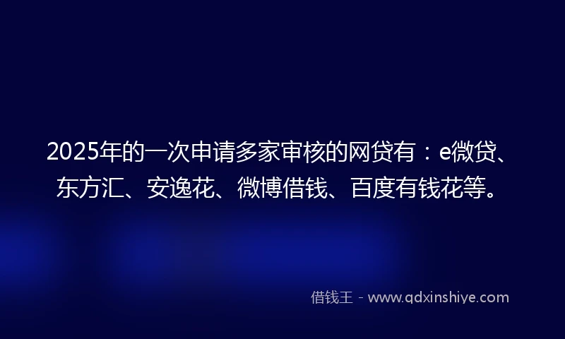 2025年的一次申请多家审核的网贷有：e微贷、东方汇、安逸花、微博借钱、百度有钱花等。