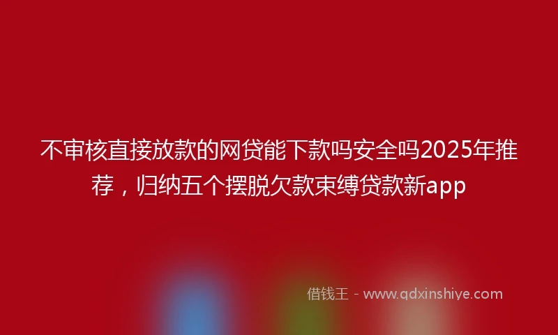 不审核直接放款的网贷能下款吗安全吗2025年推荐，归纳五个摆脱欠款束缚贷款新app