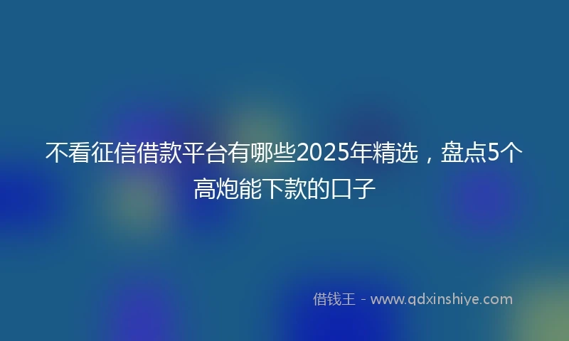 不看征信借款平台有哪些2025年精选，盘点5个高炮能下款的口子