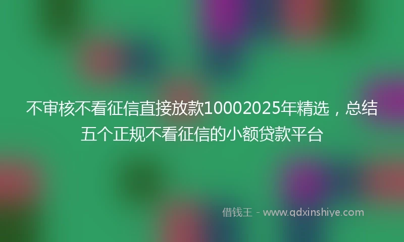 不审核不看征信直接放款10002025年精选，总结五个正规不看征信的小额贷款平台