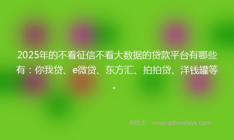 2025年的不看征信不看大数据的贷款平台有哪些有：你我贷、e微贷、东方汇、拍拍贷、洋钱罐等。