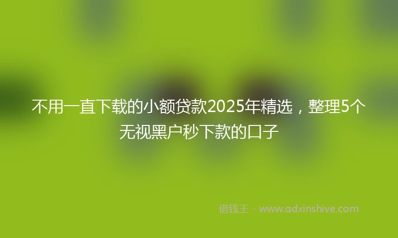 不用一直下载的小额贷款2025年精选，整理5个无视黑户秒下款的口子