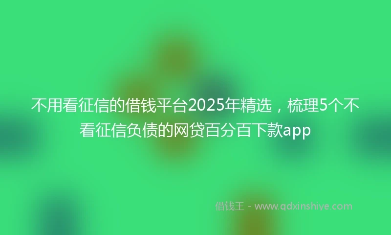 不用看征信的借钱平台2025年精选，梳理5个不看征信负债的网贷百分百下款app