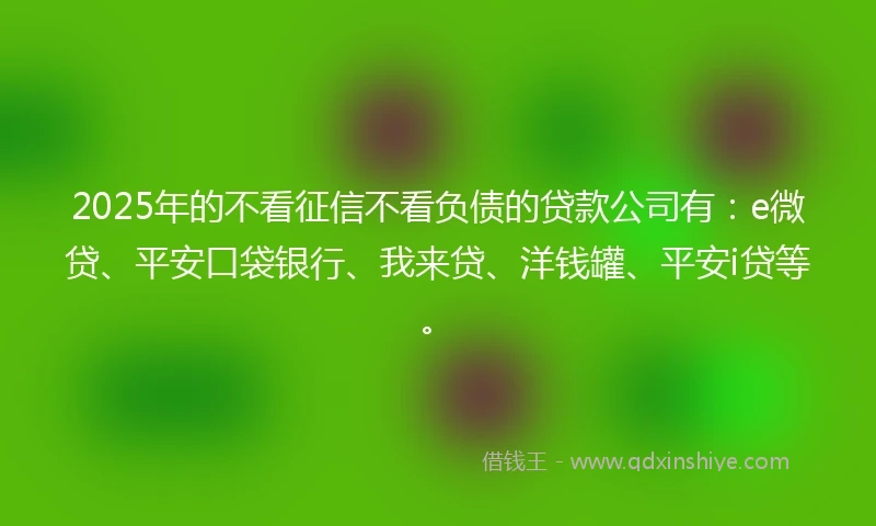 2025年的不看征信不看负债的贷款公司有:e微贷、平安口袋银行、我来贷、洋钱罐、平安i贷等。