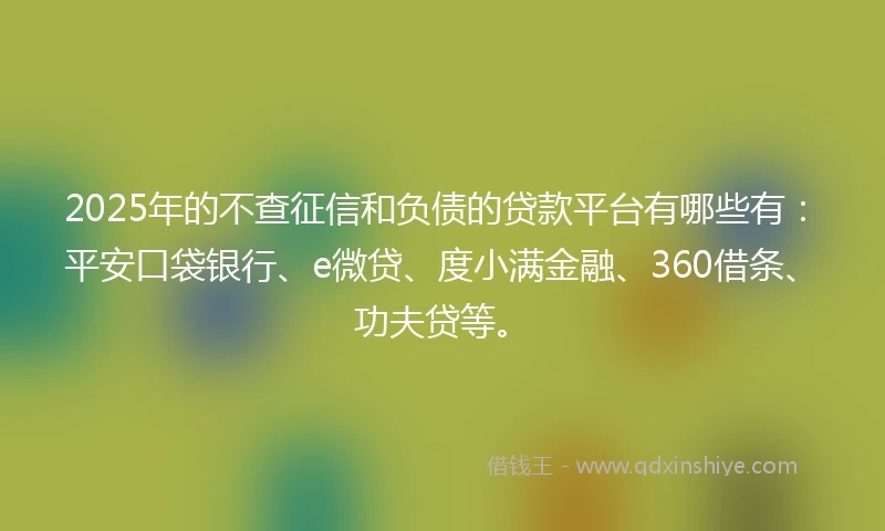 2025年的不查征信和负债的贷款平台有哪些有：平安口袋银行、e微贷、度小满金融、360借条、功夫贷等。
