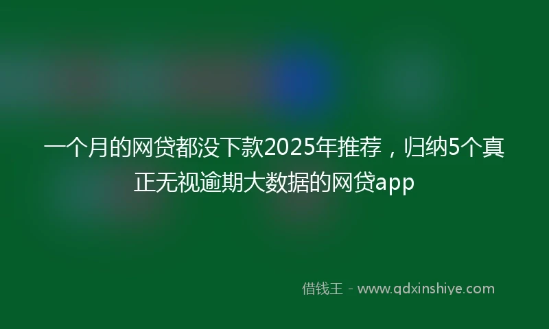 一个月的网贷都没下款2025年推荐，归纳5个真正无视逾期大数据的网贷app