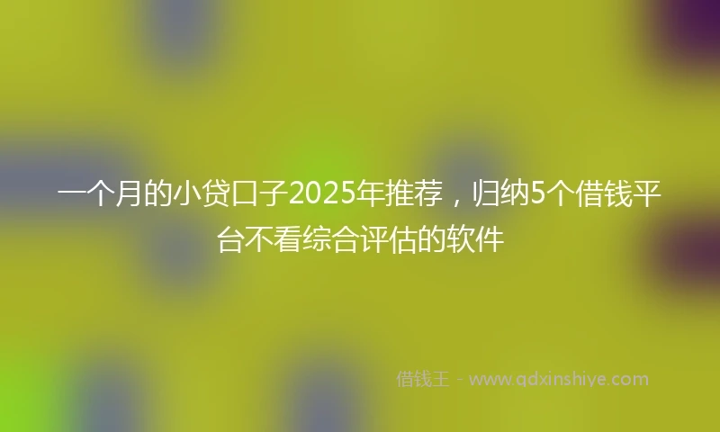 一个月的小贷口子2025年推荐，归纳5个借钱平台不看综合评估的软件