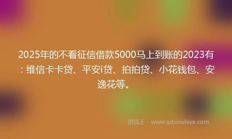 2025年的不看征信借款5000马上到账的2023有:维信卡卡贷、平安i贷、拍拍贷、小花钱包、安逸花等。
