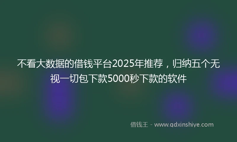 不看大数据的借钱平台2025年推荐，归纳五个无视一切包下款5000秒下款的软件
