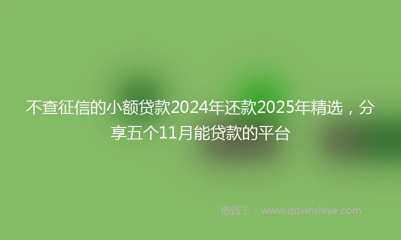 不查征信的小额贷款2024年还款2025年精选，分享五个11月能贷款的平台