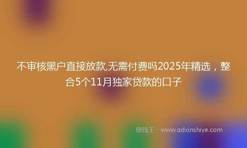 不审核黑户直接放款,无需付费吗2025年精选，整合5个11月独家贷款的口子